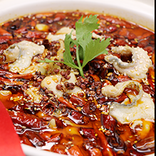 顶正水煮肉片培训