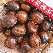糖炒板栗培训