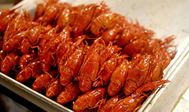 上海哪里有小吃培训 哪些铺面开餐饮店，稳赚不赔